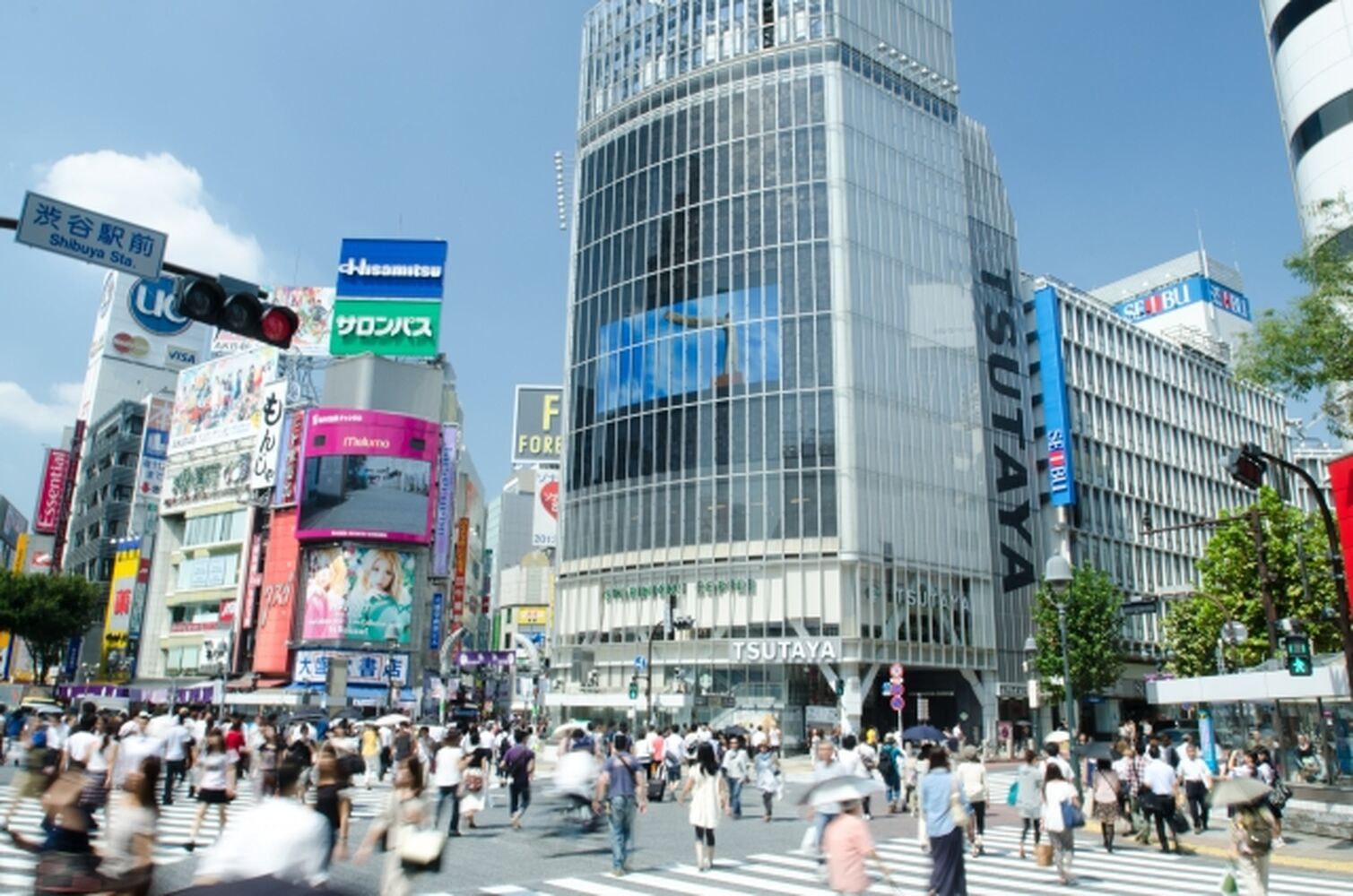 画像1365