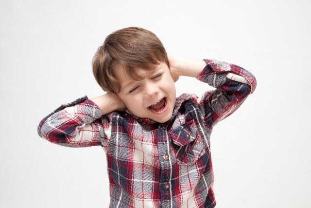 アドトラックはうるさい？道行く人の声を聞いてみました！